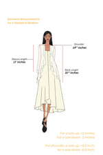 Saaz Dress Set