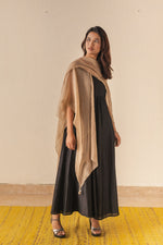 beige-overlay-from-karuna-khaitan-aayna-collection